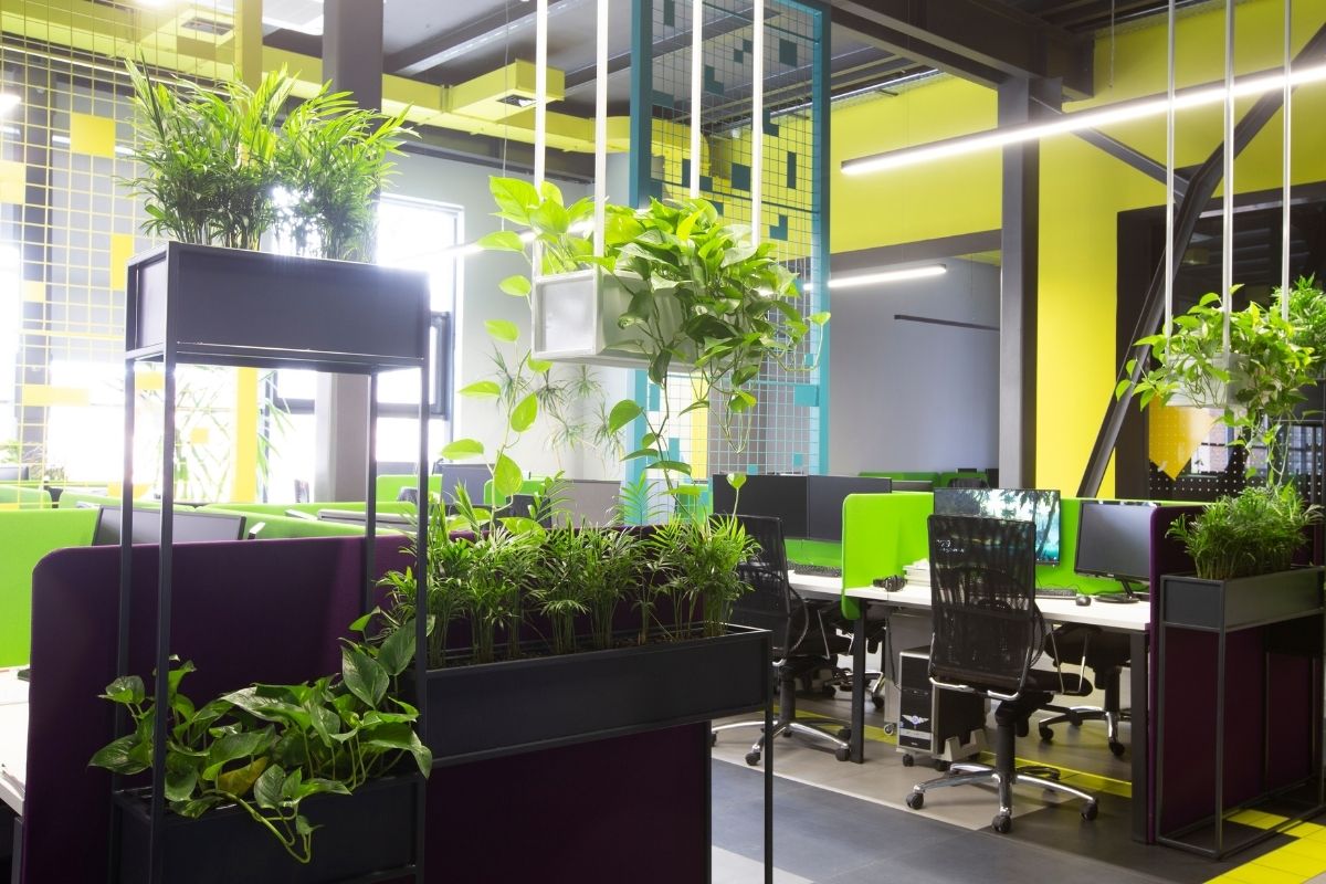 Biophilic Design Discover How It Benefits Your Life And Work Environment